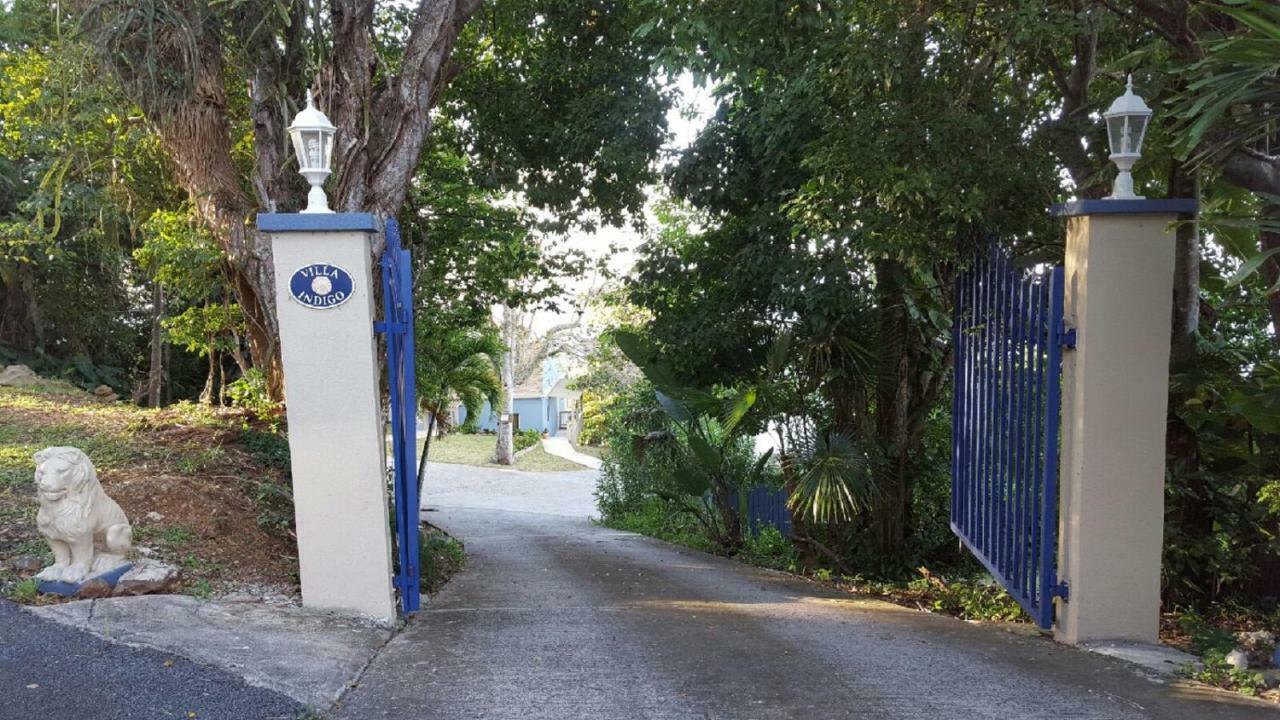 שארלוט אמלי Villa Indigo Sunny 1Br Apartment In Private Gated Estate מראה חיצוני תמונה
